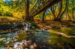 Education à la Nature ('Mindful Nature')