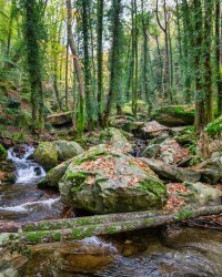 Excursion de trois jours au pays des Dieux : homme et nature – montagne et nature – écosystèmes montagnards