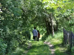 Marche du temps profond - Deep Time Walk 