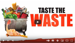 Taste the waste